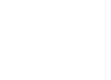 Skills SA Logo